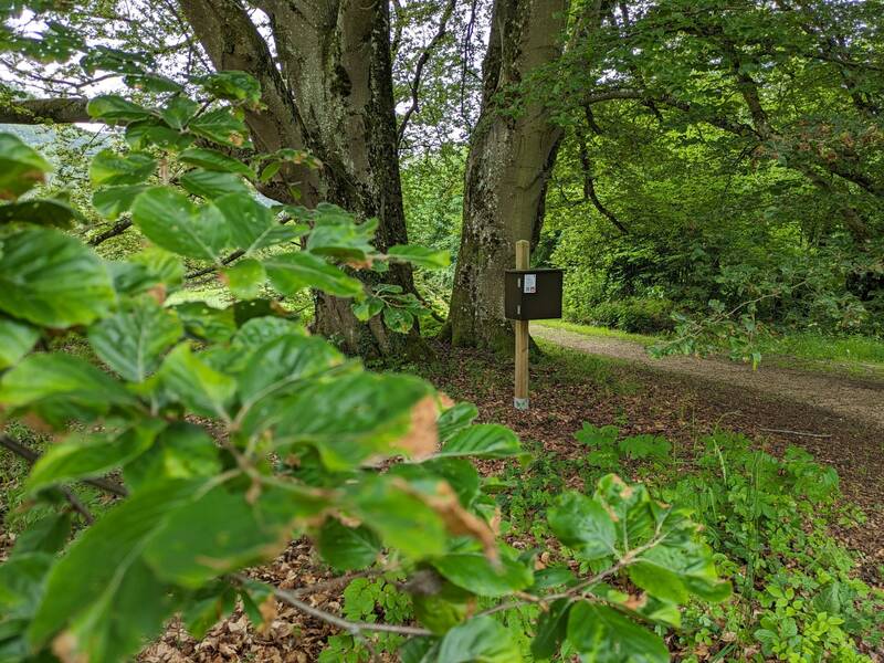 Im Vordergrund sind grüne Blätter zu sehen, während im Hintergrund ein Pfosten mit einem Kasten an einem Waldweg steht, der von Bäumen umgeben ist.