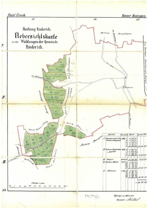 Die Karte zeigt eine Übersicht der Waldungen der Gemeinde Riederich mit verschiedenen eingezeichneten Bezirken und einem Tabellenausschnitt.