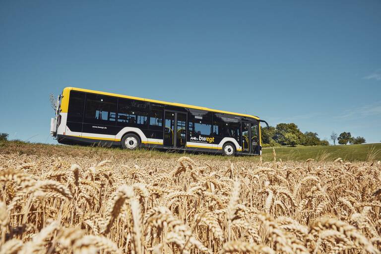 Ein schwarz-weißer Bus fährt auf einer Straße an einem Kornfeld vorbei.
