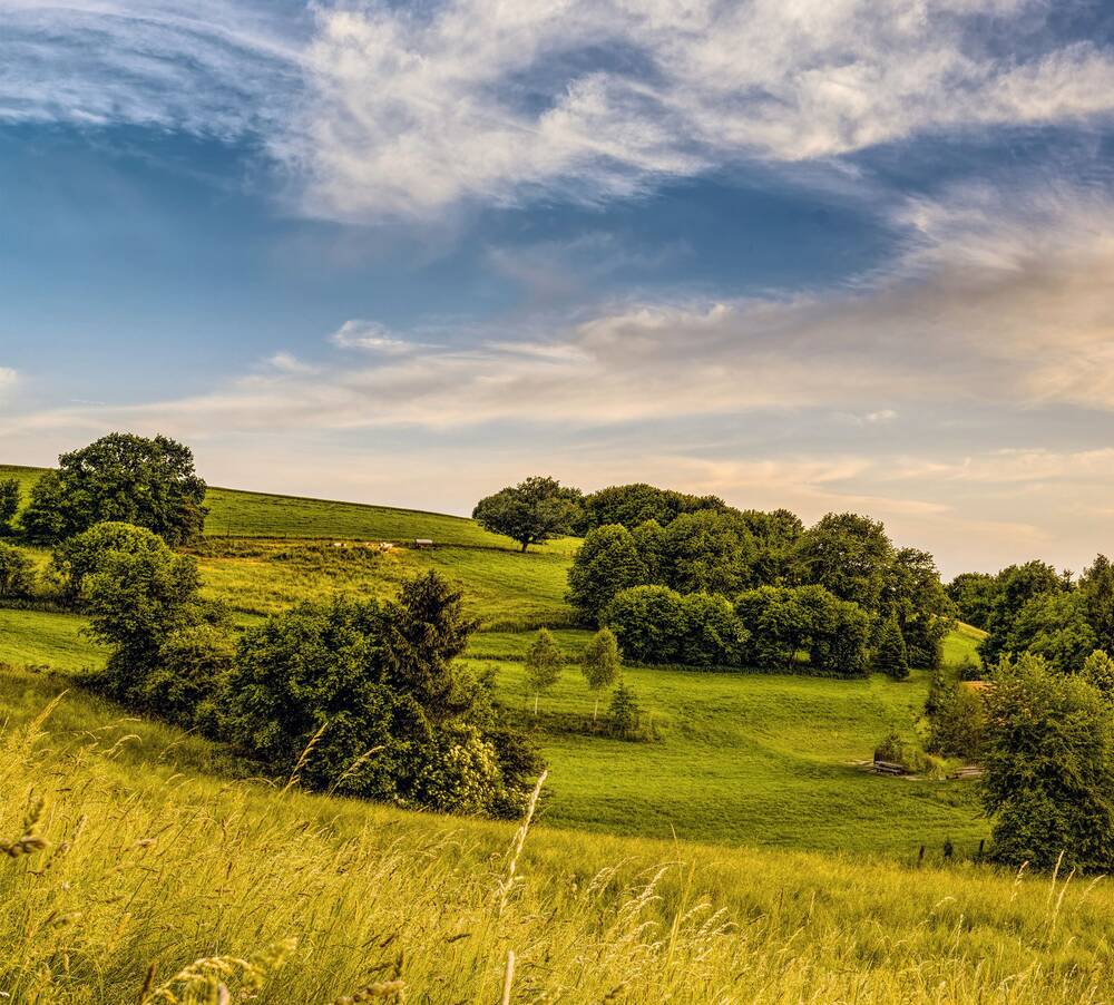 Eine weitläufige, grüne Landschaft mit sanften Hügeln und Bäumen unter einem klaren blauen Himmel mit einigen weißen Wolken ist sichtbar.