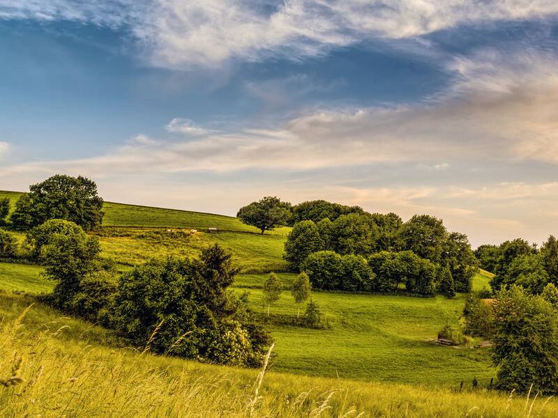 Eine weitläufige, grüne Landschaft mit sanften Hügeln und Bäumen unter einem klaren blauen Himmel mit einigen weißen Wolken ist sichtbar.