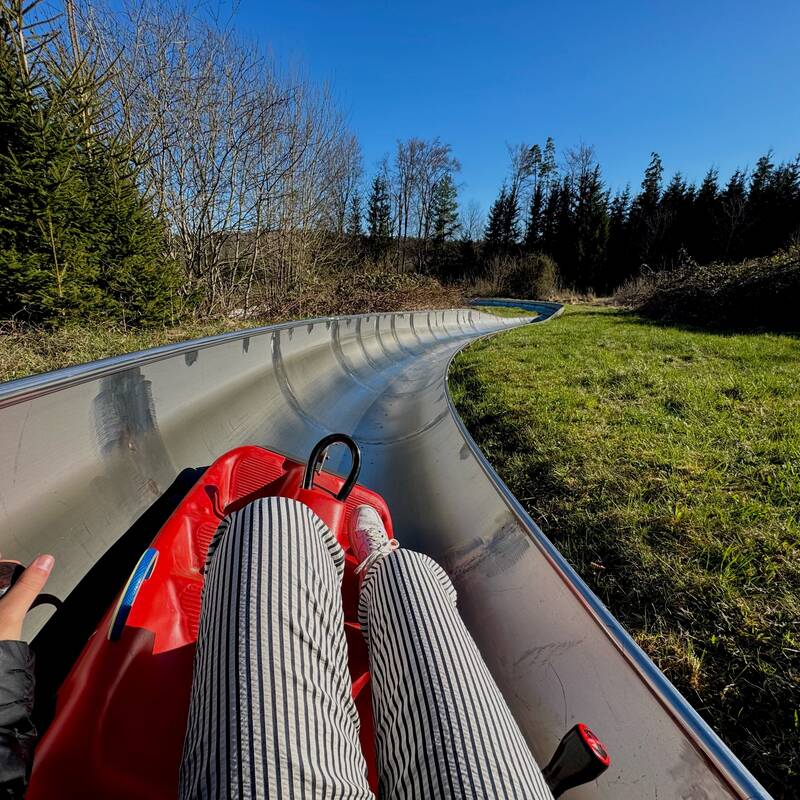 Eine Person sitzt in einem roten Schlitten auf einer Sommerrodelbahn, umgeben von grüner Wiese und Bäumen unter einem klaren blauen Himmel.
