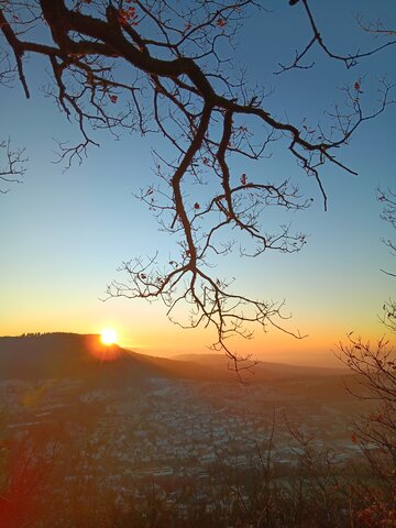 Zweige eines blattlosen Baumes ragen in den Himmel, während die Sonne hinter einem Hügel über einer Stadt untergeht.