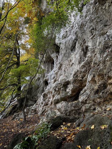 Eine steile Felswand wird von herbstlich gefärbten Bäumen und Laub auf dem Waldboden flankiert.