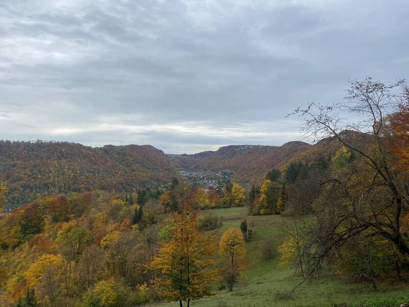 Eine herbstlich bewaldete Hügellandschaft mit einem Tal im Hintergrund unter einem bewölkten Himmel.