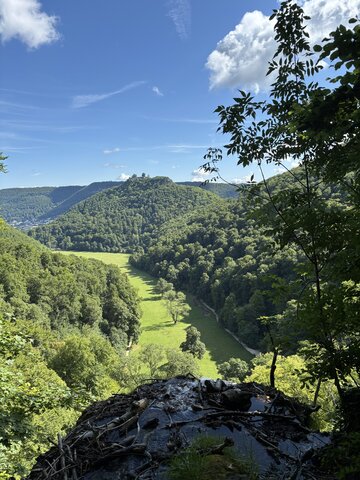 Ein Blick von einem bewaldeten Hügel über ein weites, grünes Tal bei klarem Himmel und Sonnenschein.