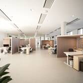 Ein modernes, offenes Büro mit mehreren Arbeitsplätzen, die durch Holzwände voneinander getrennt sind, und einer minimalistischen Einrichtung.