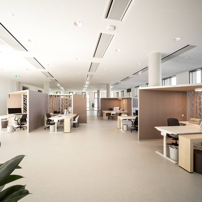 Ein modernes, offenes Büro mit mehreren Arbeitsplätzen, die durch Holzwände voneinander getrennt sind, und einer minimalistischen Einrichtung.