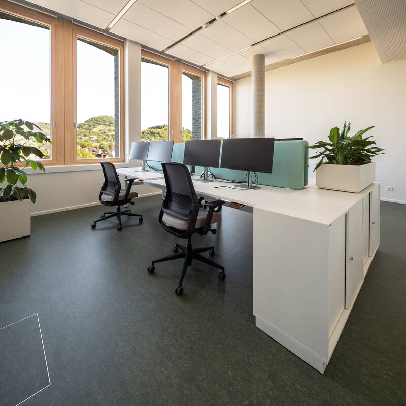 Ein modernes, helles Büro mit großen Fenstern, zwei Schreibtischen, Bürostühlen und grünen Pflanzen.